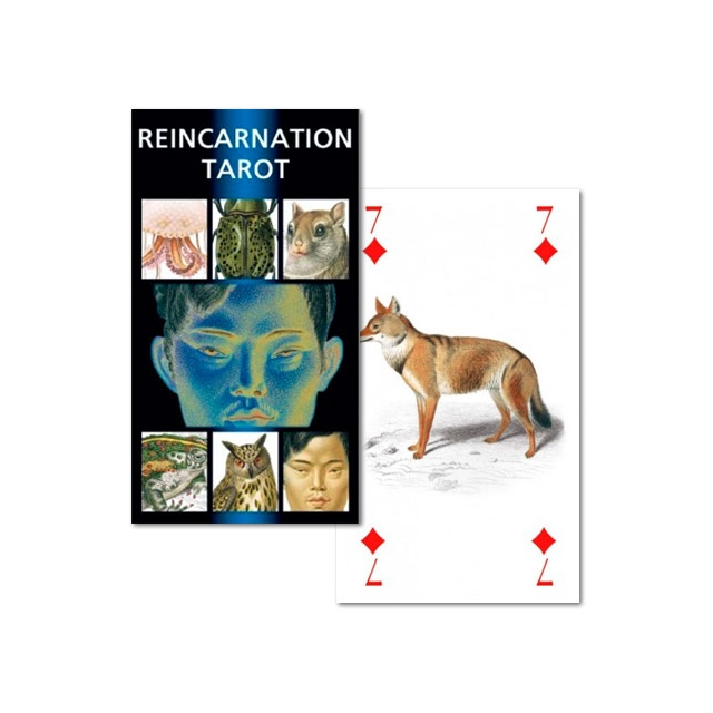 Reincarnation Tarot da Lo Scarabeo - Capa e Carta